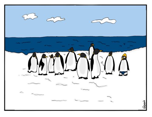 Penguin in a swimming costume.