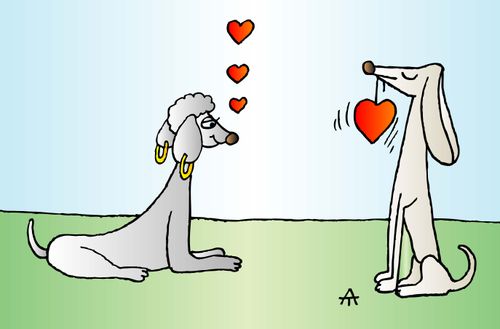 Dogs