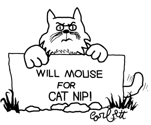 Will mouse for cat nip!