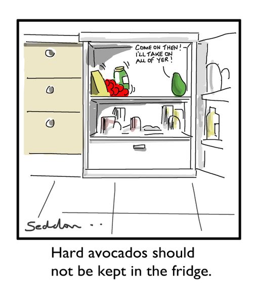 Hard avocados should not be kept in the fridge.
