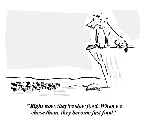 "Right now, they're slow food. When we chase them, they become fast food."
