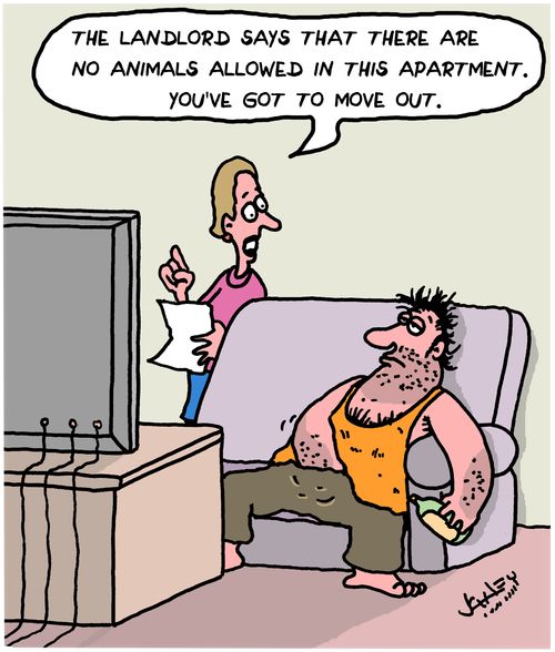 "The landlord says that there are no animals allowed in this apartment. You've got to move out."