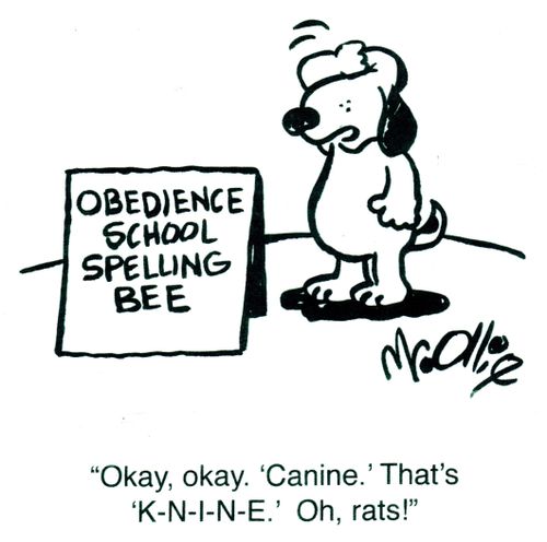 "Okay, okay. 'Canine.' That's 'K-N-i-N-E.' Oh rats!"