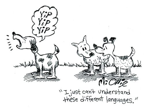 "I just can't understand these different languages."