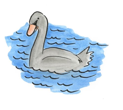 Black Swan