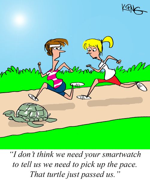 "I don't think we need your smartwatch to tell us we need to pick up the pace. That turtle just passed us."