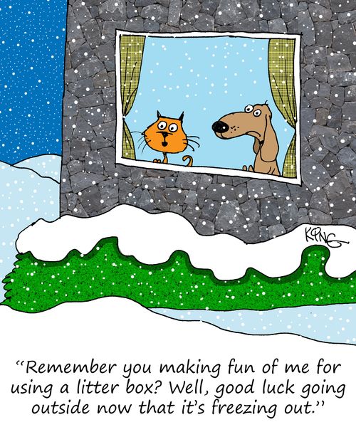 "Remember you making fun of me for using a litter box? Well, good luck going outside now that it's freezing out."