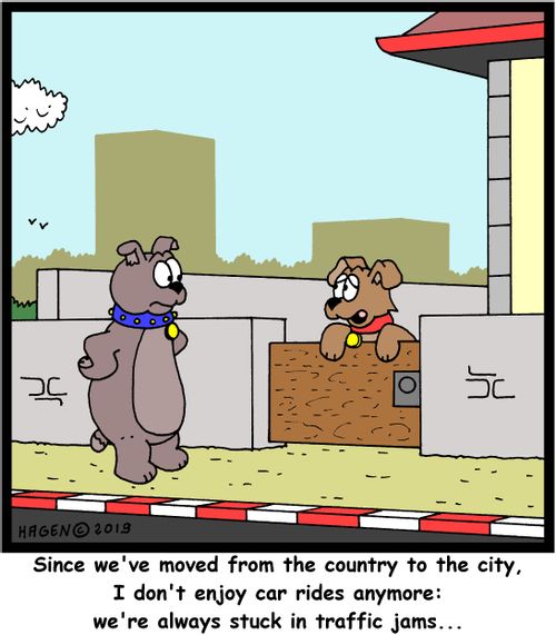 "Since we've moved from the country to the city, I don't enjoy car rides anymore: we're always stuck in traffic jams..."