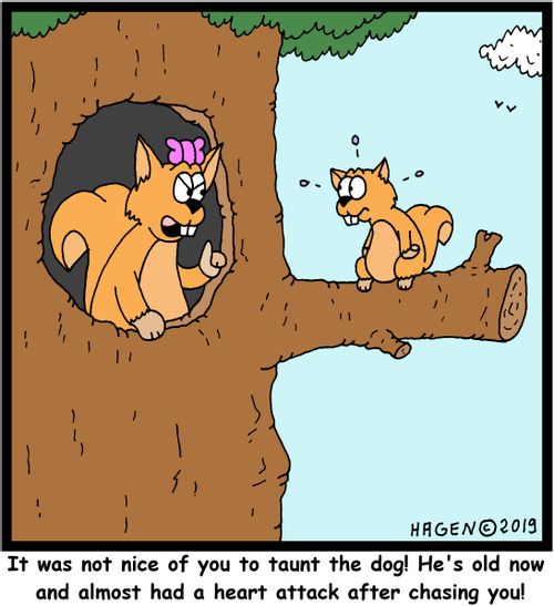 "It was not nice of you to taunt the dog! He's old now and almost had a heart attack after chasing you!"