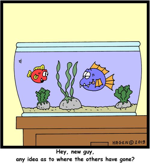 "Hey, new guy, any idea as to where the others have gone?"