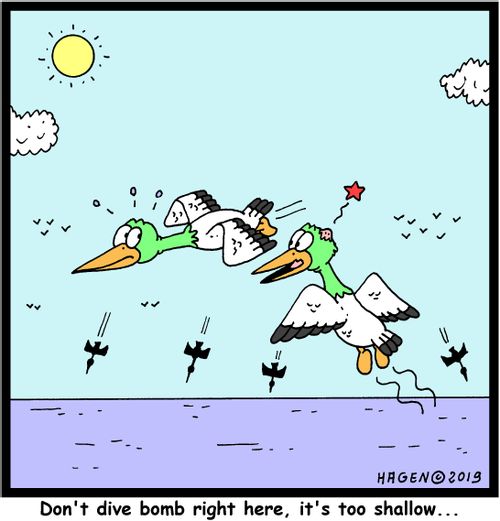 "Don't dive bomb right here, it's too shallow..."