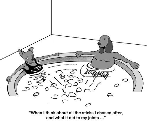 "When I think about all the sticks I chased after, and what it did to my joints. . ."