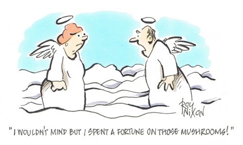 "I wouldn't mind but I spent a fortune on those mushrooms!"