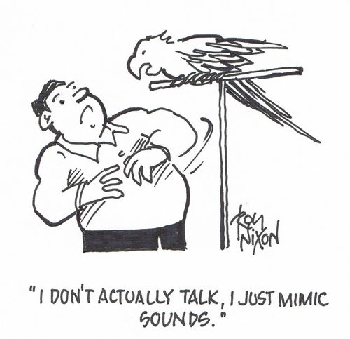 "I don't actually talk, I just mimic sounds."