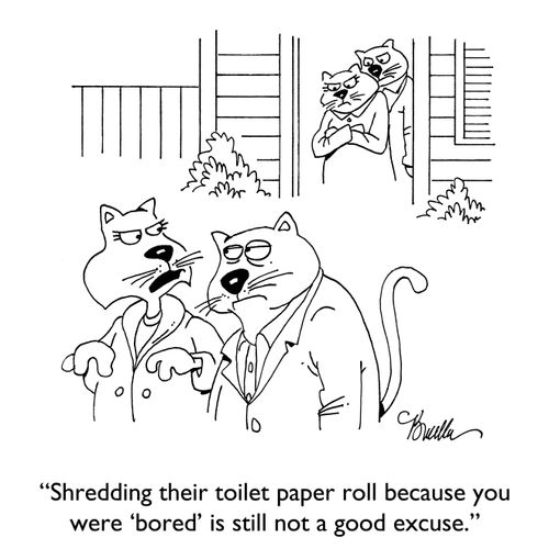 "Shredding their toilet paper roll because you were 'bored' is still not a good excuse."