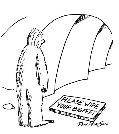 Please Wipe Your Big Feet!