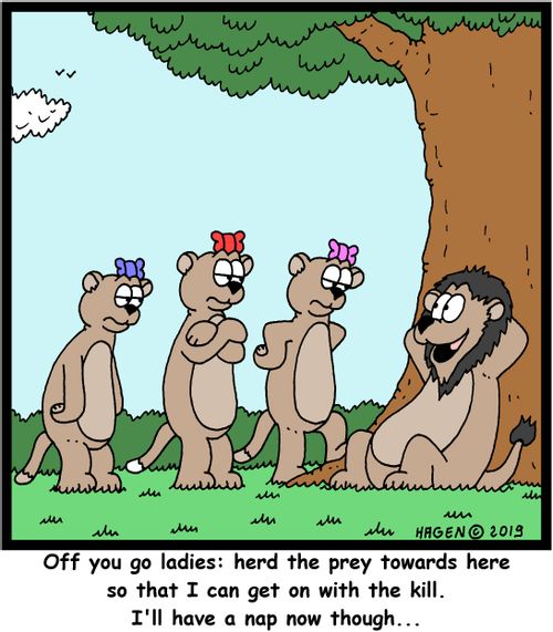 "Off you go ladies: herd the prey towards here so that I can get on with the kill. I'll have a nap now though..."