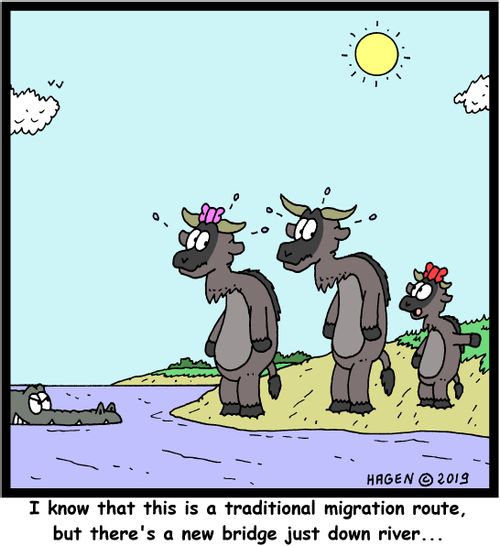 "I know that this is a traditional migration route, but there's a new bridge just down river..."