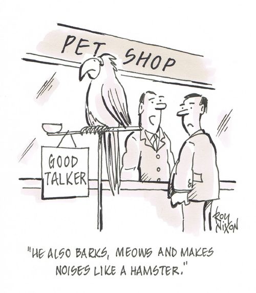 "He also barks, meows and makes noises like a hamster."
