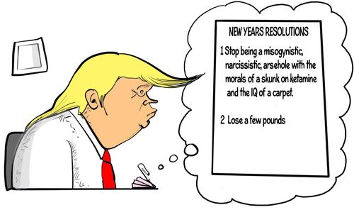 Donald Trump's New Years Resolution: Stop being a misogynistic, narcissistic, a******e with the morals of a skunk on ketamine and the IQ of a carpet....Lose a few pounds.