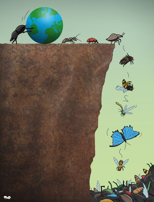 Insect extinction