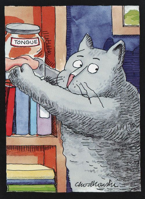 Cat's Tongue