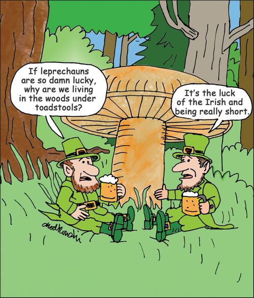 "If leprechauns are so damn lucky, why are we living in the woods under toadstools?"