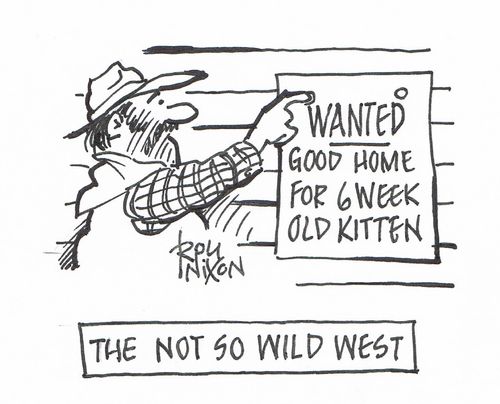 The Not So Wild West