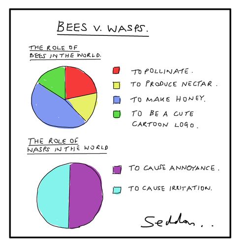 Bees v Wasps