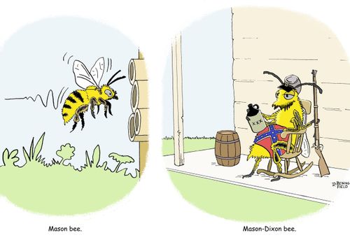 The Mason Bee and the Mason-Dixon Bee.