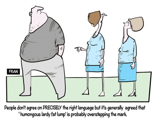 "People don't agree on PRECISELY the right language but it's generally agreed that 'humongous lardy fat lump' is probably overstepping the mark."