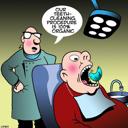 "Our teeth-cleaning procedure is 100% organic."