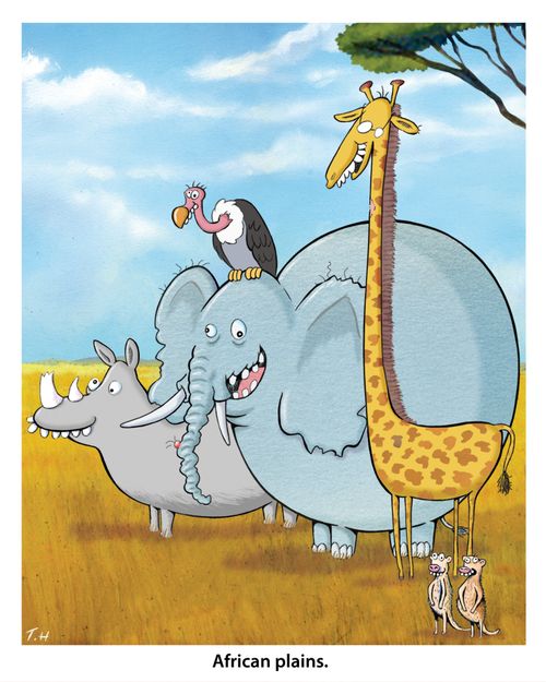 African plains - not the prettiest of African animals.