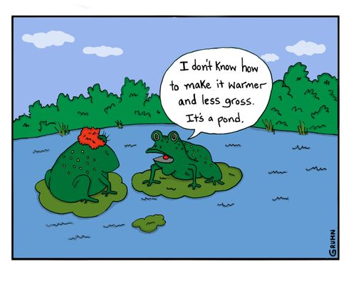 "I don't know how to make it warmer and less gross. It's a pond."