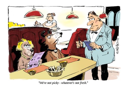 "We're not picky - whatever's not fresh."