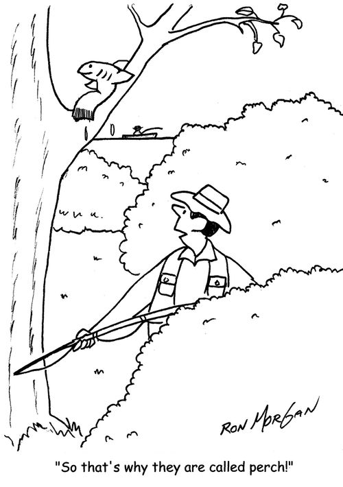 "So that's why they are called Perch!"