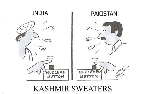 Kashmir Sweaters