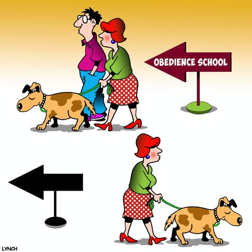 Obedience School