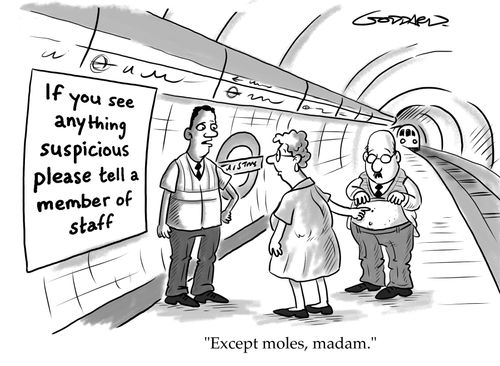"Except moles, madam."