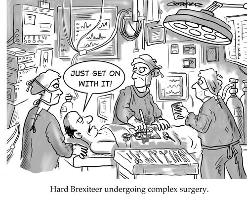 Hard Brexiteer undergoing complex surgery.