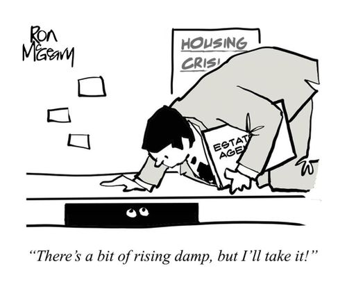"There's a bit of rising damp, but I'll take it!"