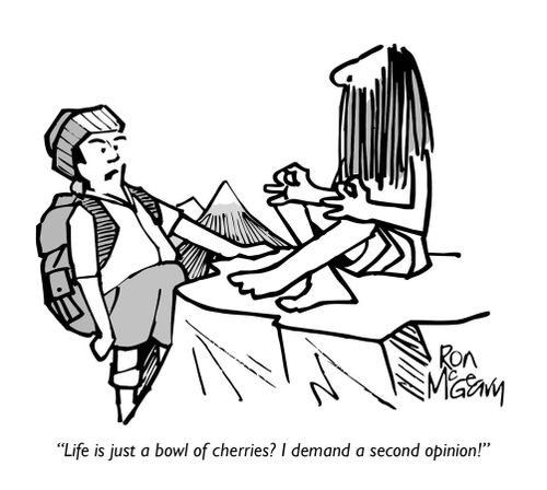 "Life is just a bowl of cherries? I demand a second opinion!"