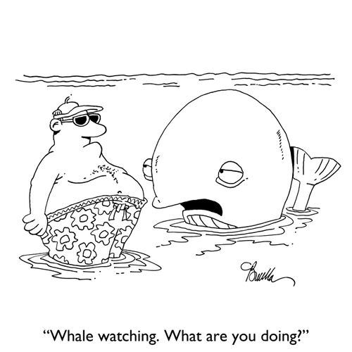 "Whale watching. What are you doing?"