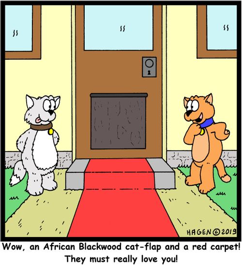 "Wow, an African Blackwood cat-flap and a red carpet! They must really love you!"