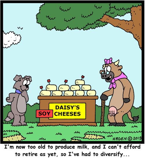 "I'm now too old to produce milk, and I can't afford to retire as yet, so I've had to diversify..."