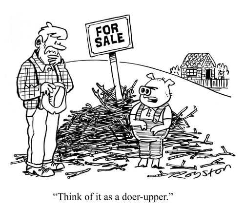 "Think of it as a doer-upper."
