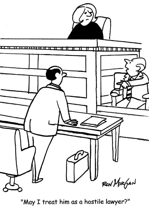 "May I treat him as a hostile lawyer?"