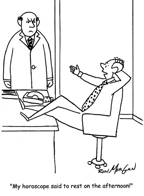 "My horoscope said to rest on the afternoon!"