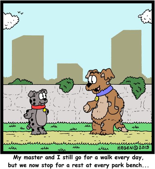 "My master and I still go for a walk every day, but we now stop for a rest at every park bench..."
