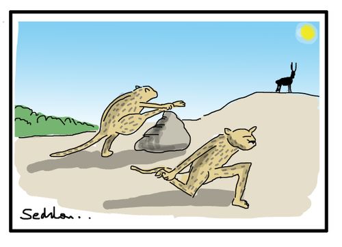 Predator stretches